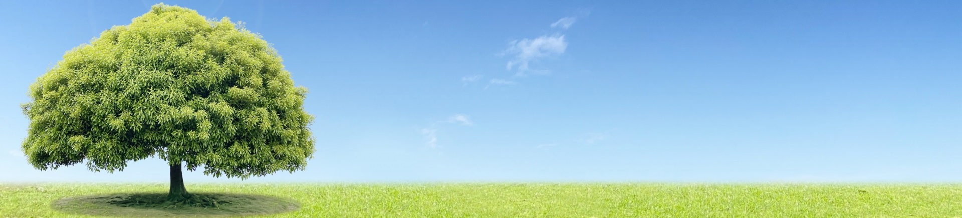 スリーピースホーム株式会社